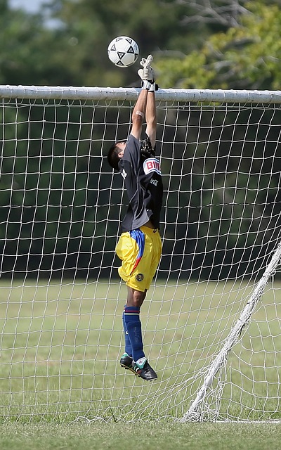 及正确的指 及正确的指