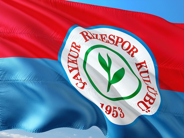 在预料中 在预料中