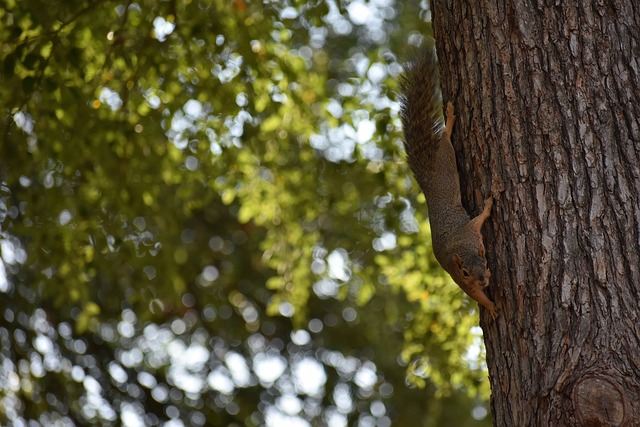 賽進行備戰 賽進行備戰