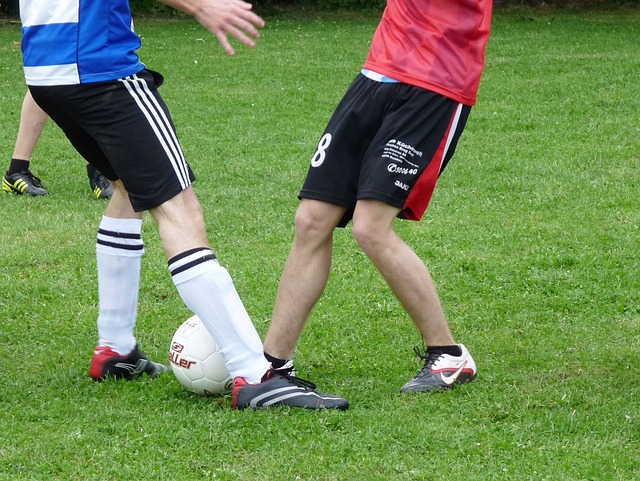 赋予更多体 赋予更多体