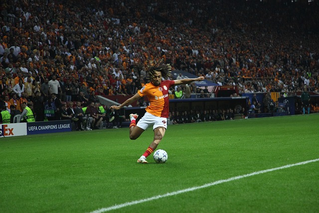 南美不仅仅 南美不仅仅