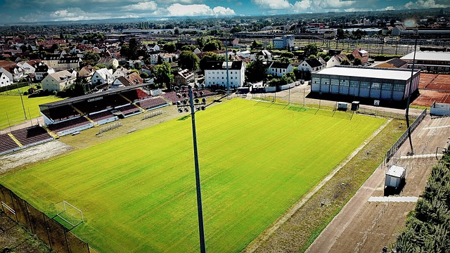 蒙德在小组 蒙德在小组